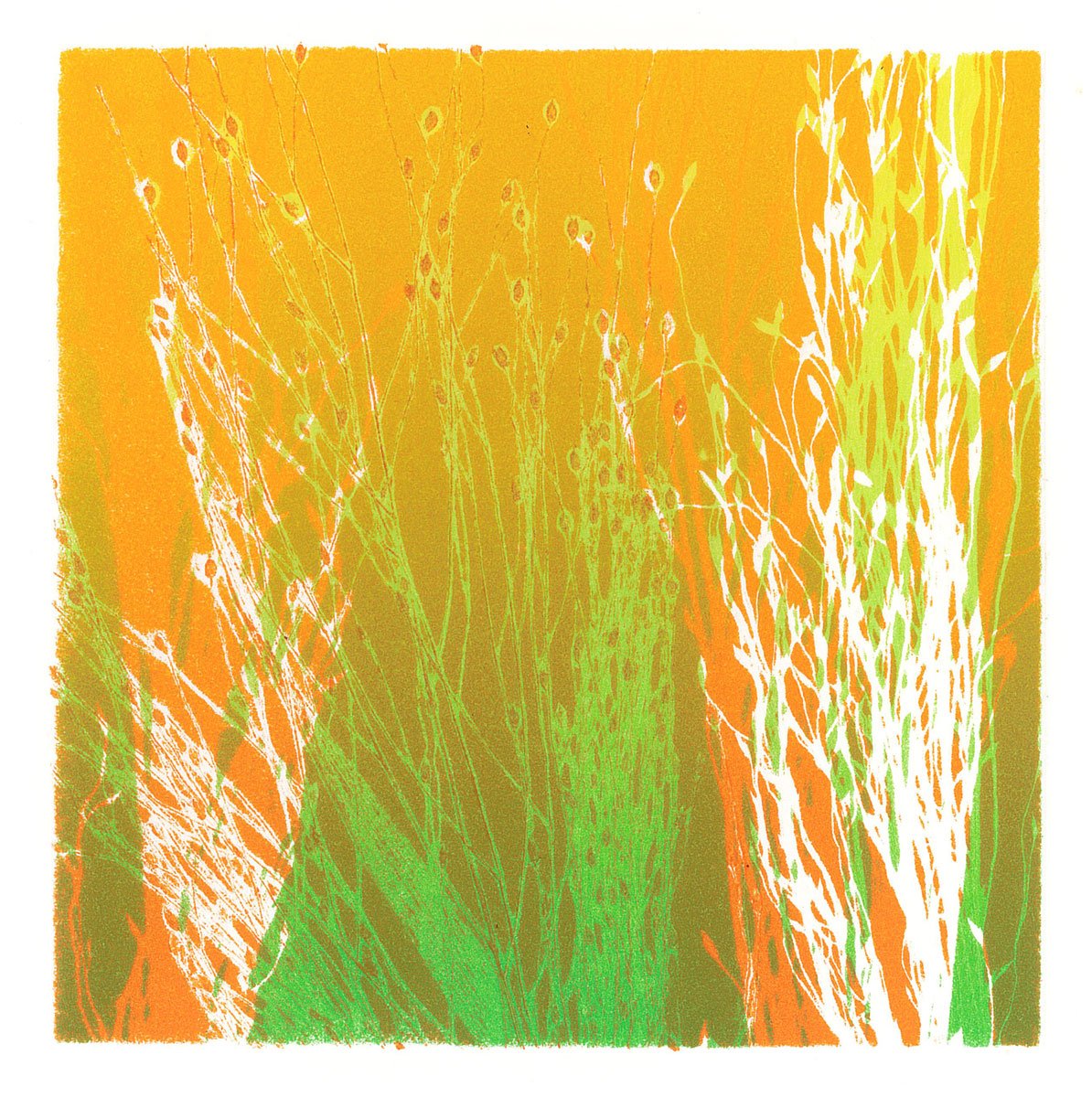 Grasses