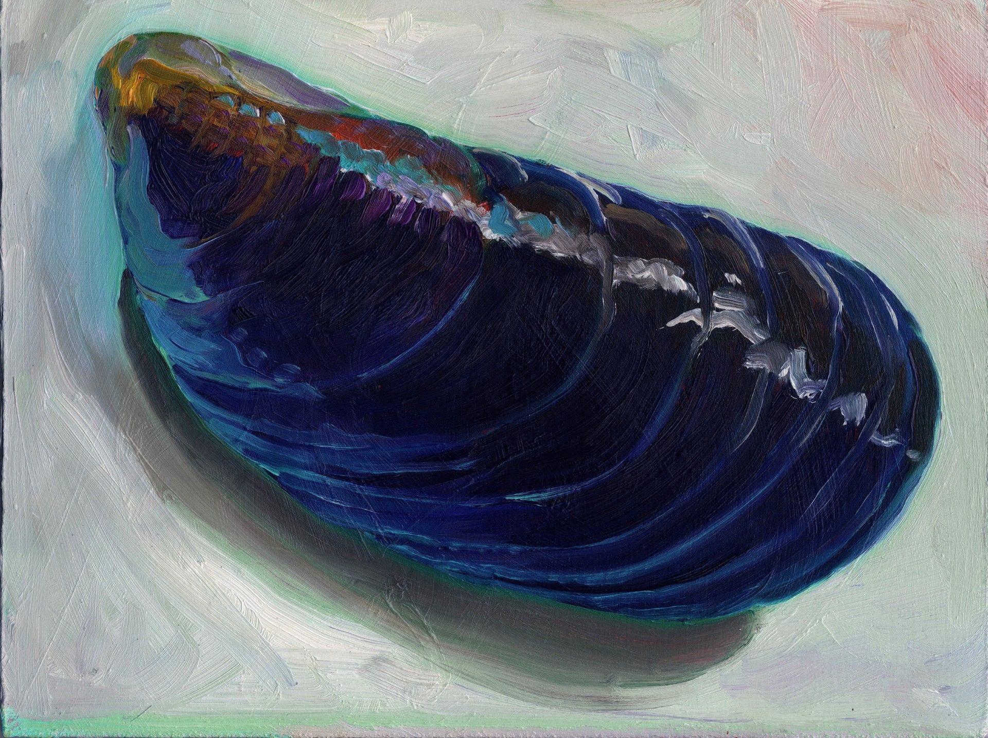 Mussel 2