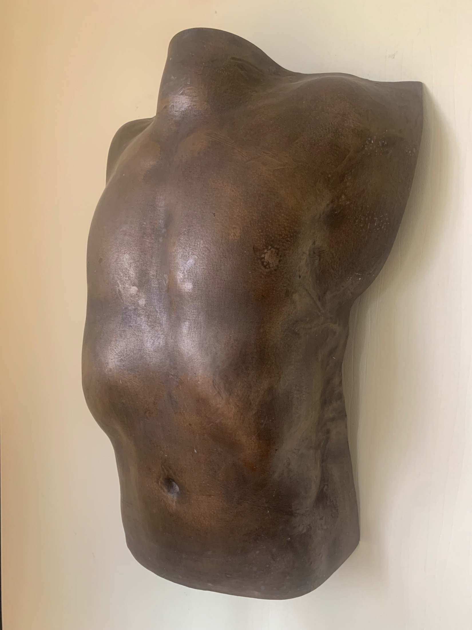 Male Torso Resin Bronze
