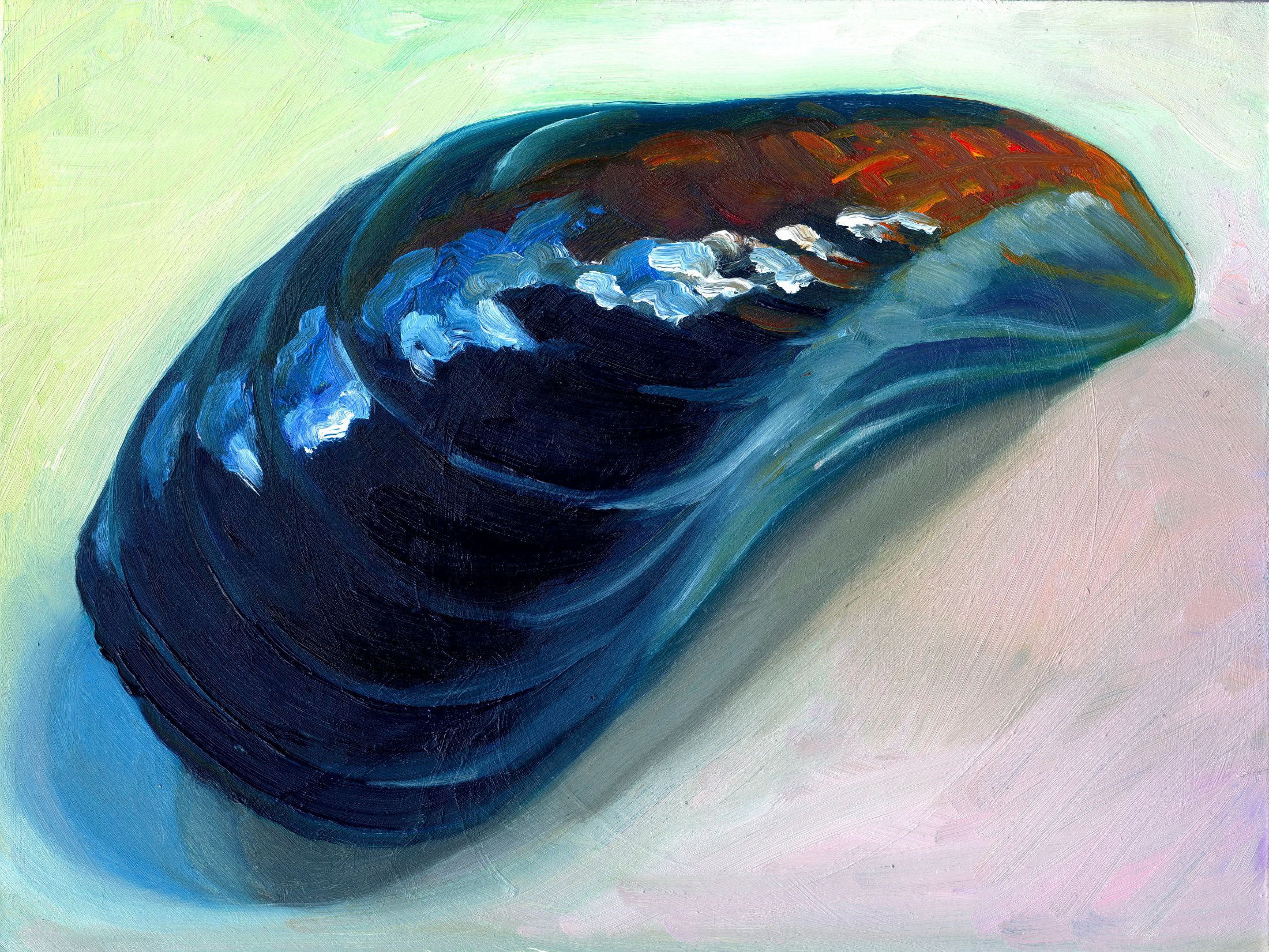 Mussel 6