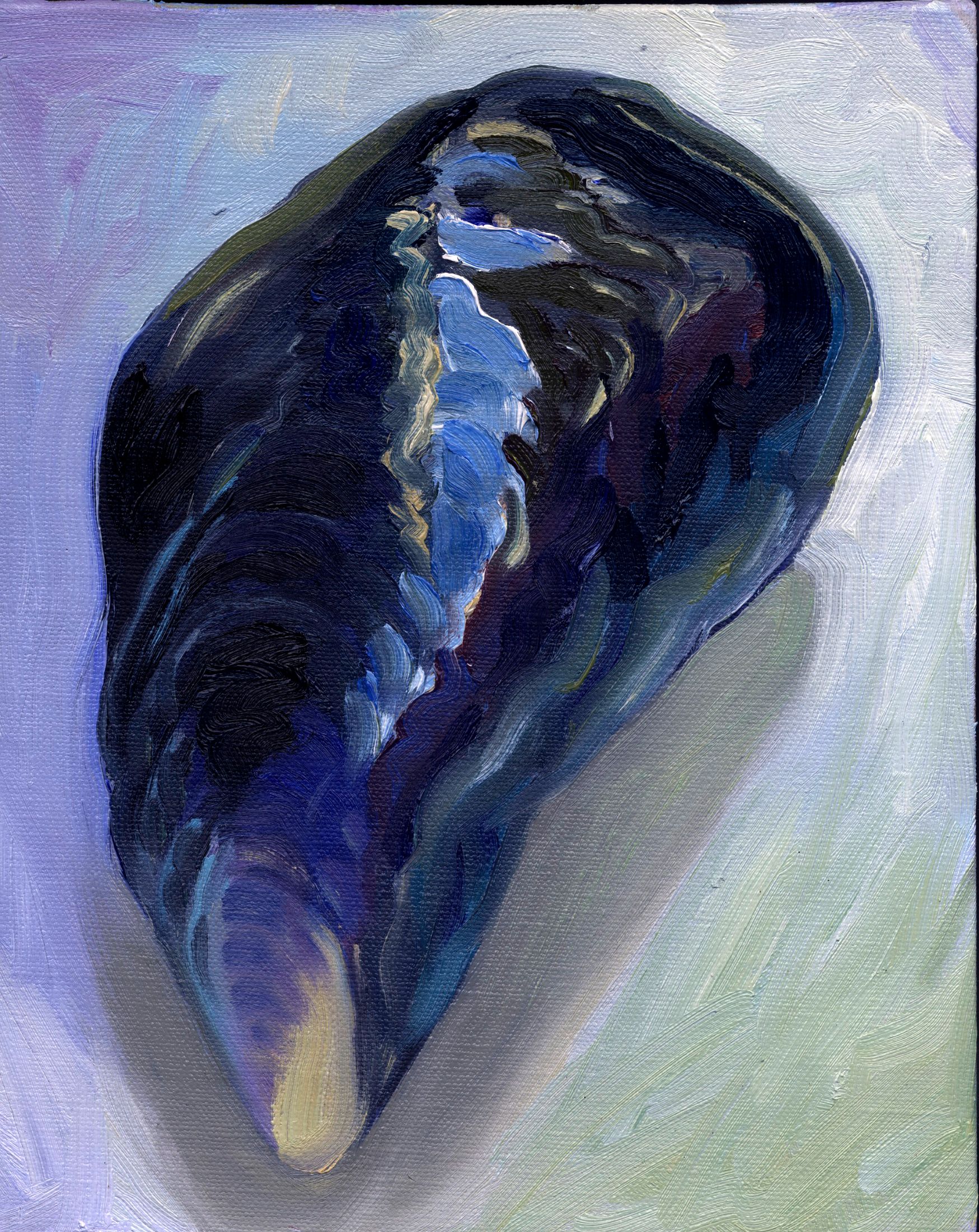 Mussel 3